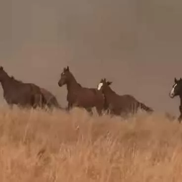 238769585_1979863495528677_7261193877426957803_n