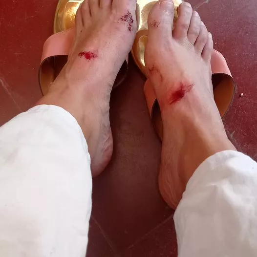 254165066_10228539156489816_8410902031011213595_n