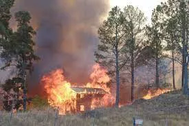 236026568_323914539520464_1246002787728960392_n