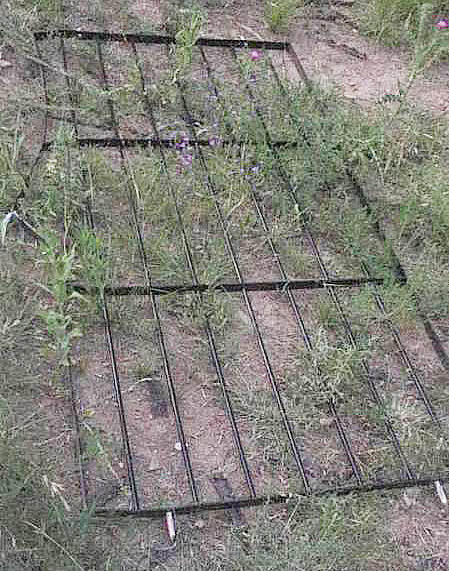 80523645_2511055729017734_6328915128502714368_n