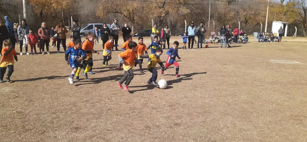 WhatsApp Image 2022-05-30 at 4.59.43 PM