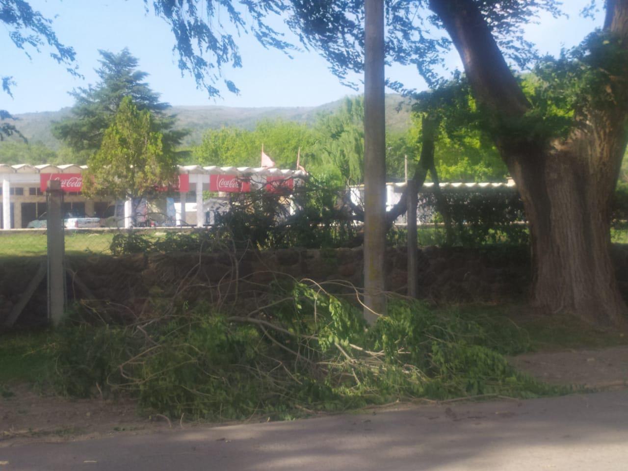 WhatsApp Image 2020-12-10 at 17.03.47 (1)