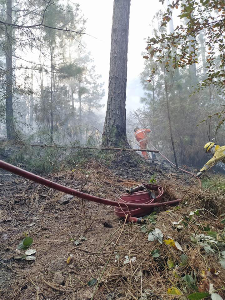 83600543_3107527899314476_7760612401269078320_n