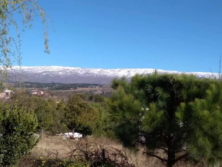 241639383_3400498306843252_810591857023213453_n