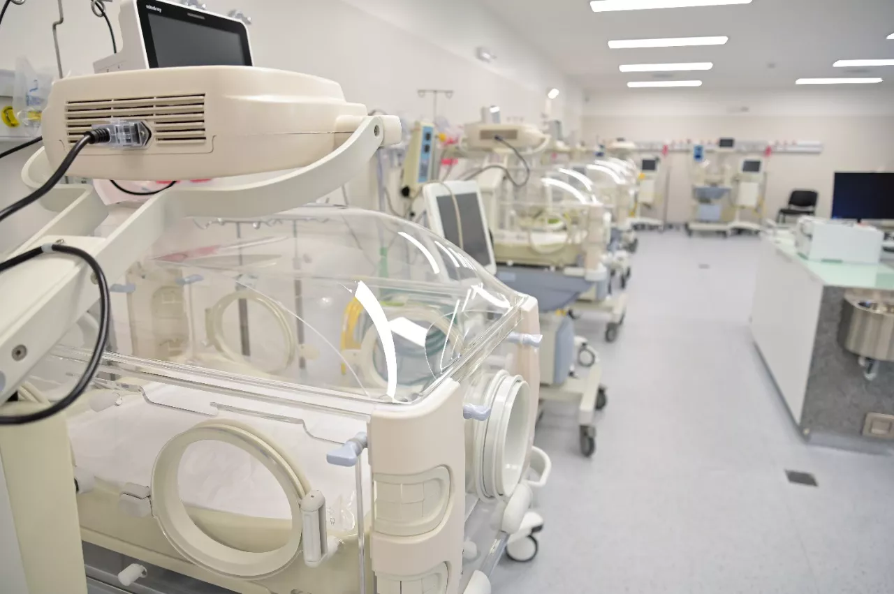 WhatsApp Image 2023-01-24 at 15.22.14