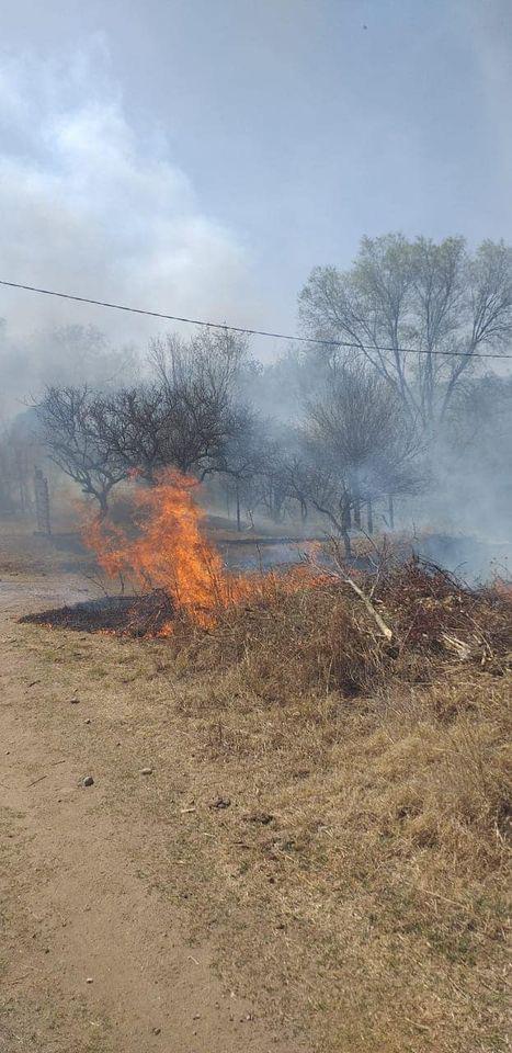 119532562_3761876340507367_1639695359443503384_o