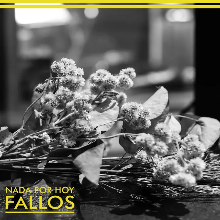 b470ff36-a8c7-40e3-b8fc-f01d62319b00