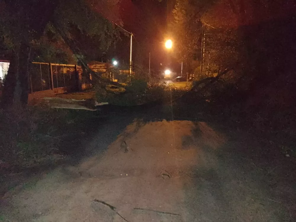 277101232_10229315258171704_5105319875194955585_n