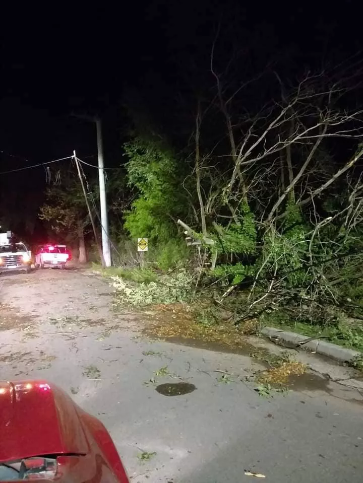 276233646_10229316159234230_1567428126388657066_n