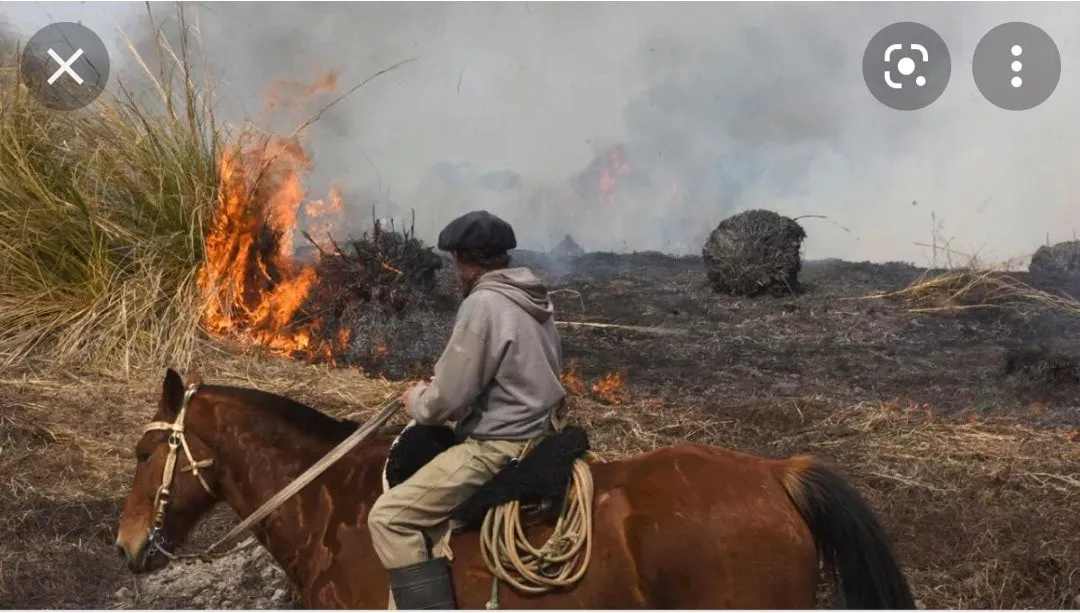 239144345_1979743278874032_6595056808379156341_n