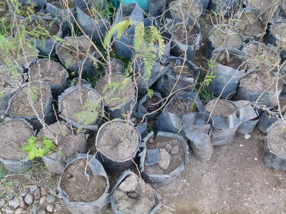 241818116_4441626759265638_7445445715984222977_n