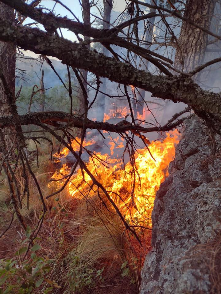 132461086_1643480532527220_7675066576989179194_n