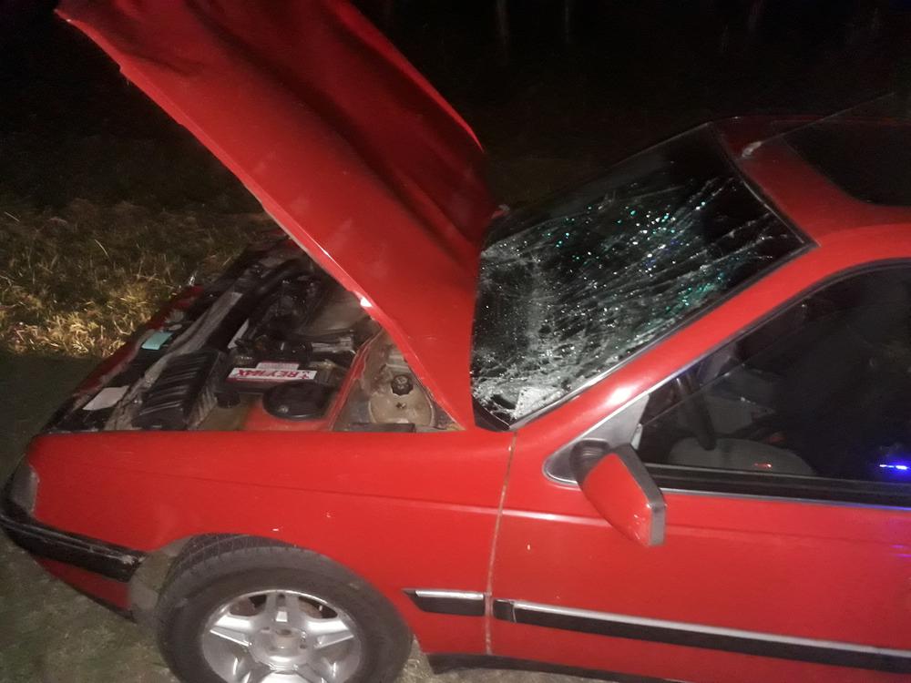 multimedia.grande.8cda4caa4ede9f18.564143412048455249444120454e20454c20434f52434f5641444f203020325f6772616e64652e6a7067