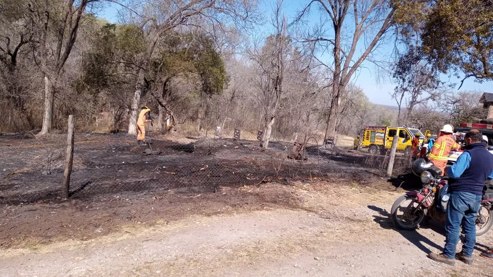 WhatsApp Image 2021-08-26 at 14.26.25