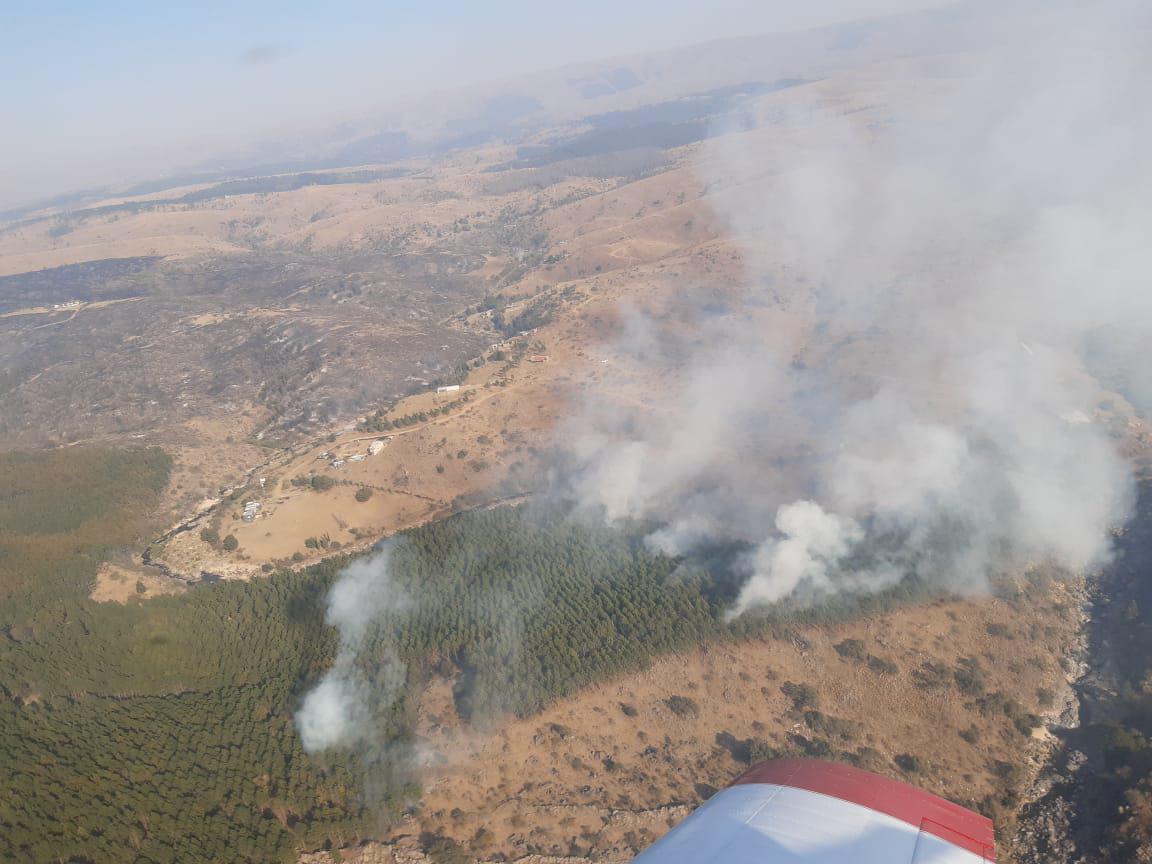 WhatsApp Image 2020-10-01 at 09.29.26