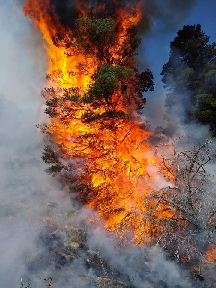 132067708_1641557439386196_4084836721573638021_n