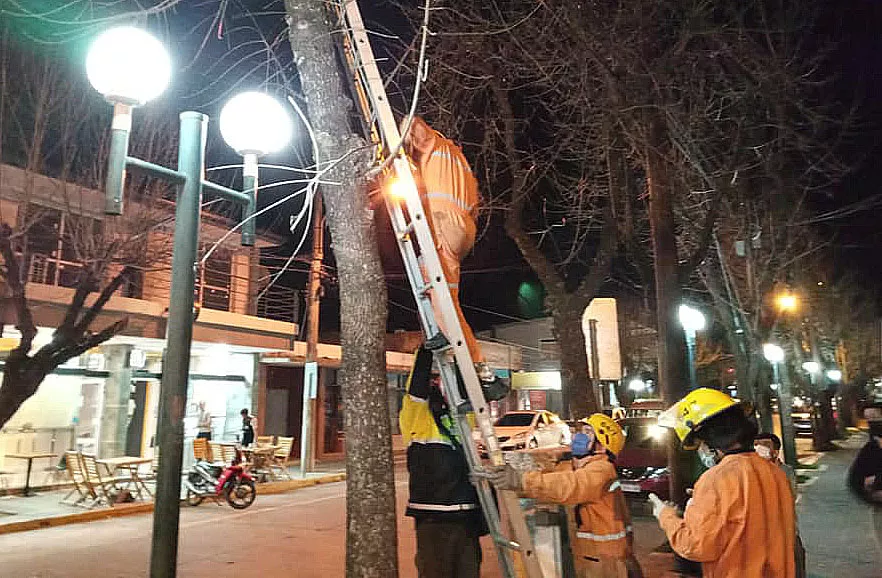 241823460_10228090515673907_54250846004508807_n