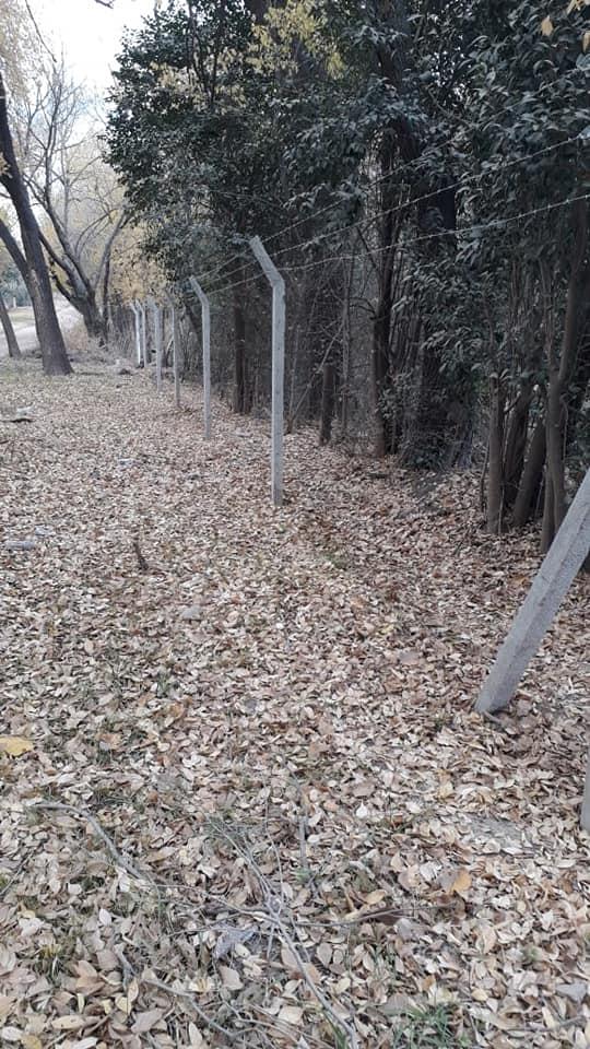 103137583_10224206387373127_5890969521157426142_n