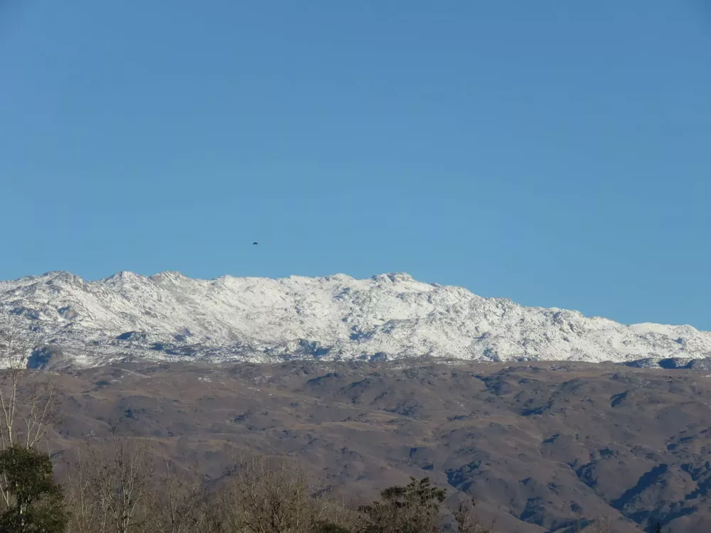 241654880_4222652784436399_8153490219442747995_n