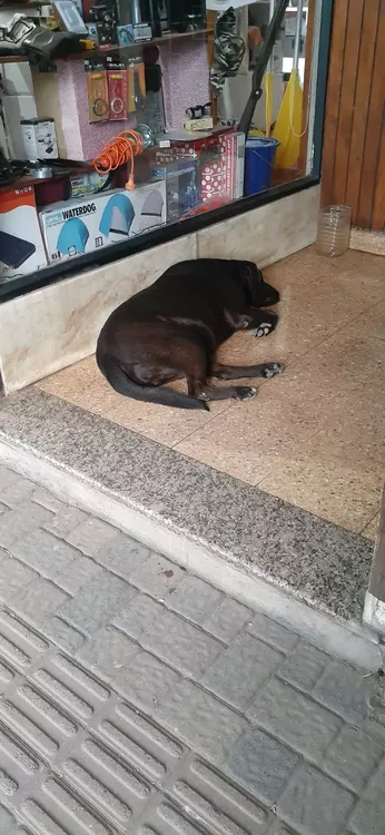 WhatsApp Image 2021-12-08 at 7.26.32 PM