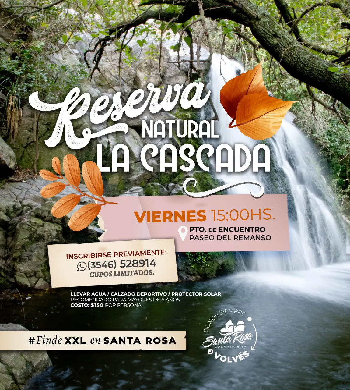 d1aedac1-c821-4f5d-9337-ee127c00422c