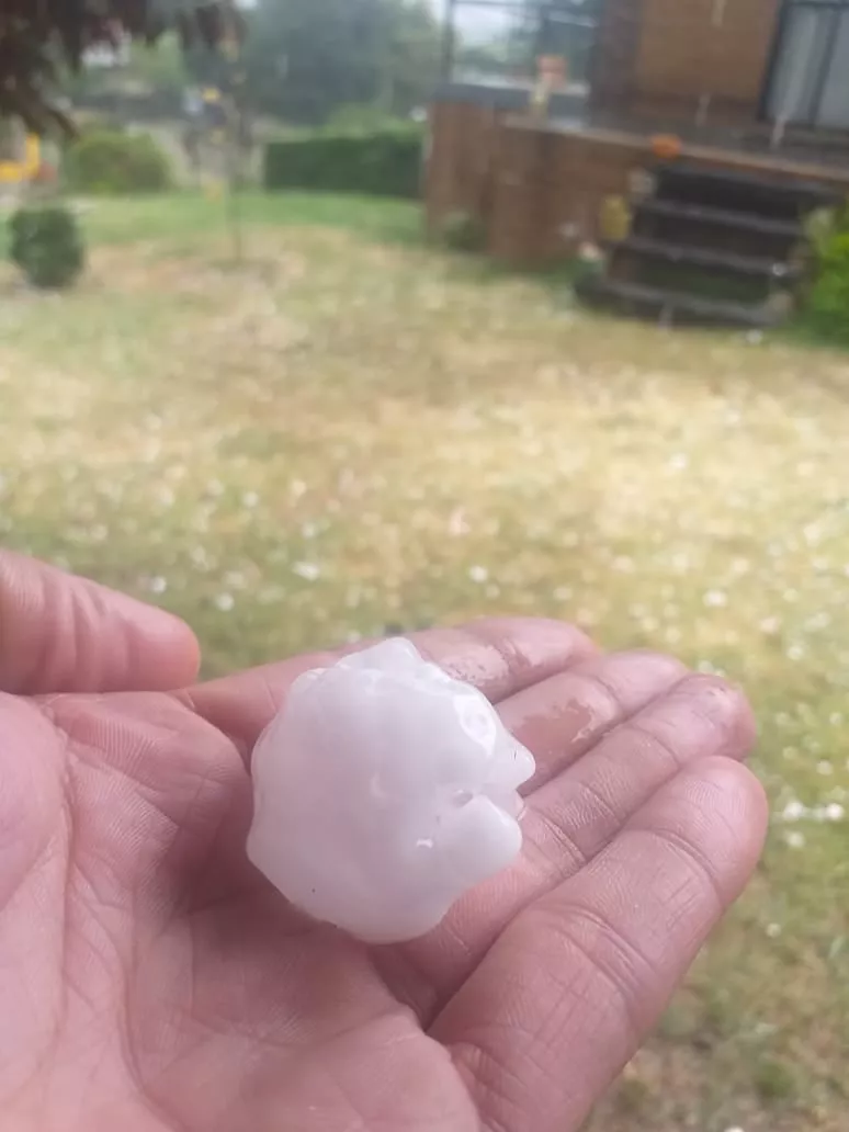 272062033_5070861432964552_6642316956813309654_n