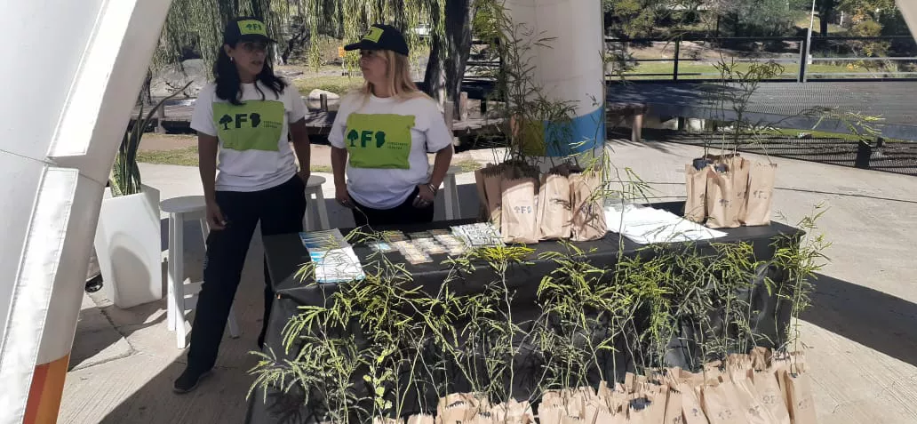 WhatsApp Image 2022-04-01 at 15.16.46 (3)