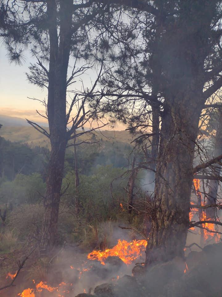 132229018_1643480402527233_2358895901438161044_n