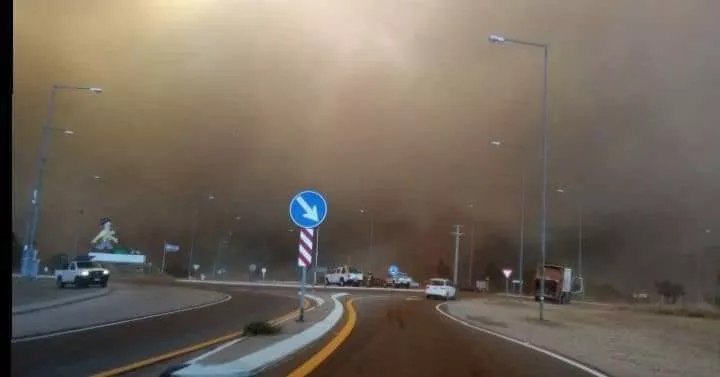 239634375_3379879385571811_5838266889542896557_n