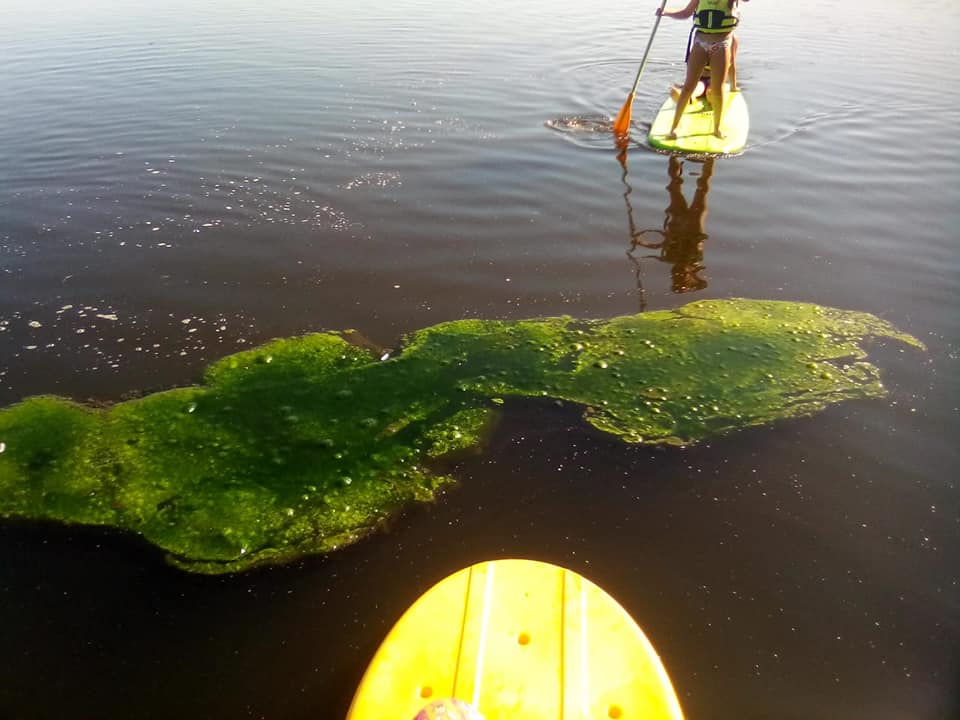 83745524_1357979207744022_1611801475573350400_n