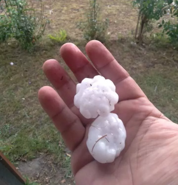 271974841_3521448964748185_8257707405745343859_n