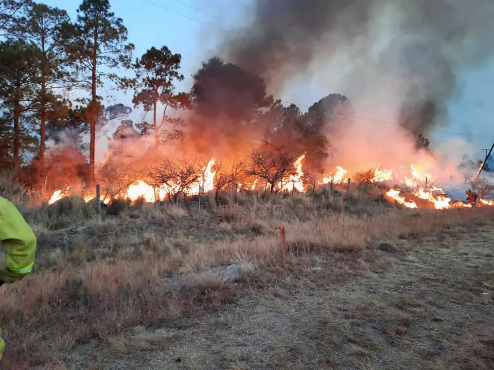 238745751_4436969323027933_5090071307042472565_n