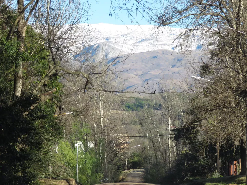 241674860_4222654807769530_1337823887778111483_n