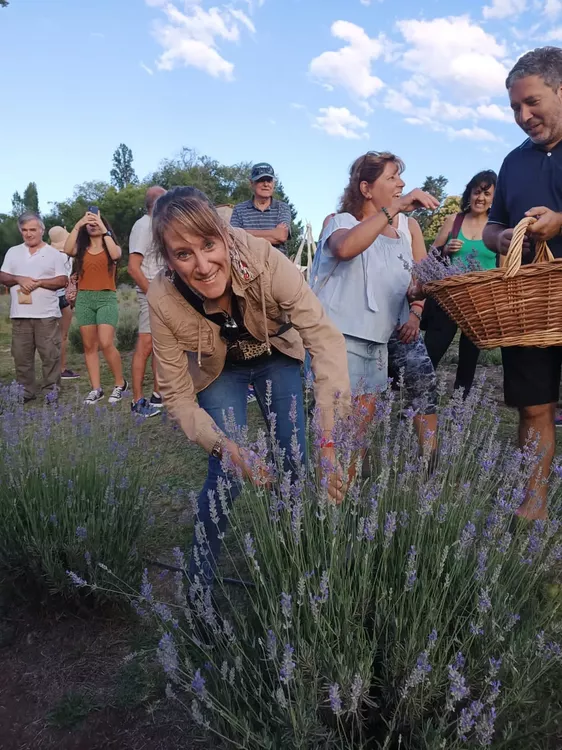 322406390_871599024077305_2277558319660045119_n