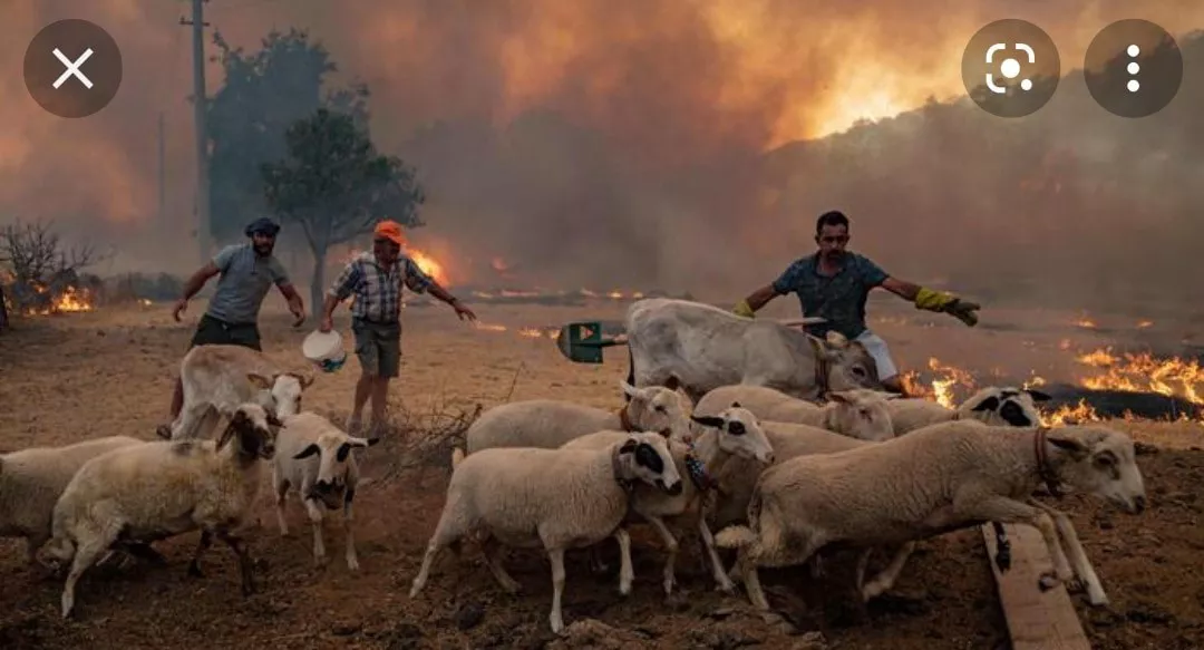 238854622_1979743332207360_4549429645413733172_n