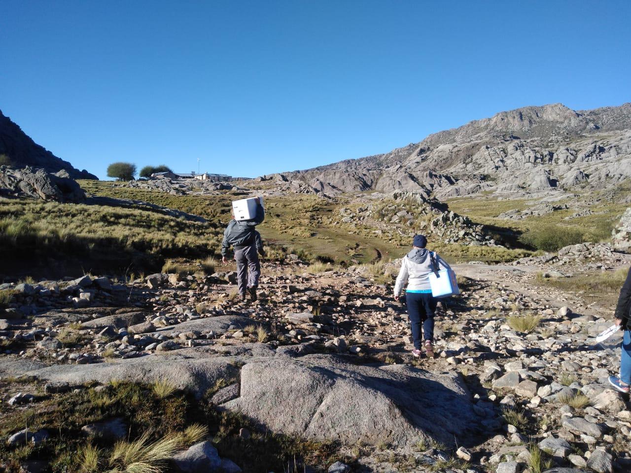 WhatsApp Image 2021-03-30 at 15.13.28