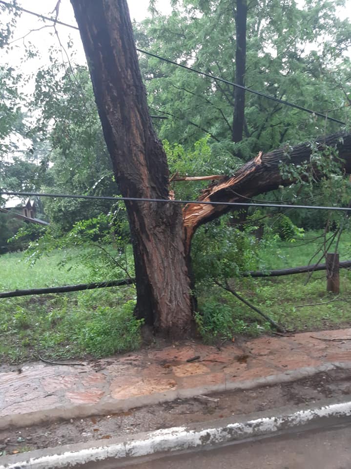 85171385_2816632755070660_2788599193004933120_n