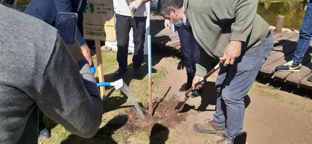 WhatsApp Image 2022-04-01 at 15.16.46