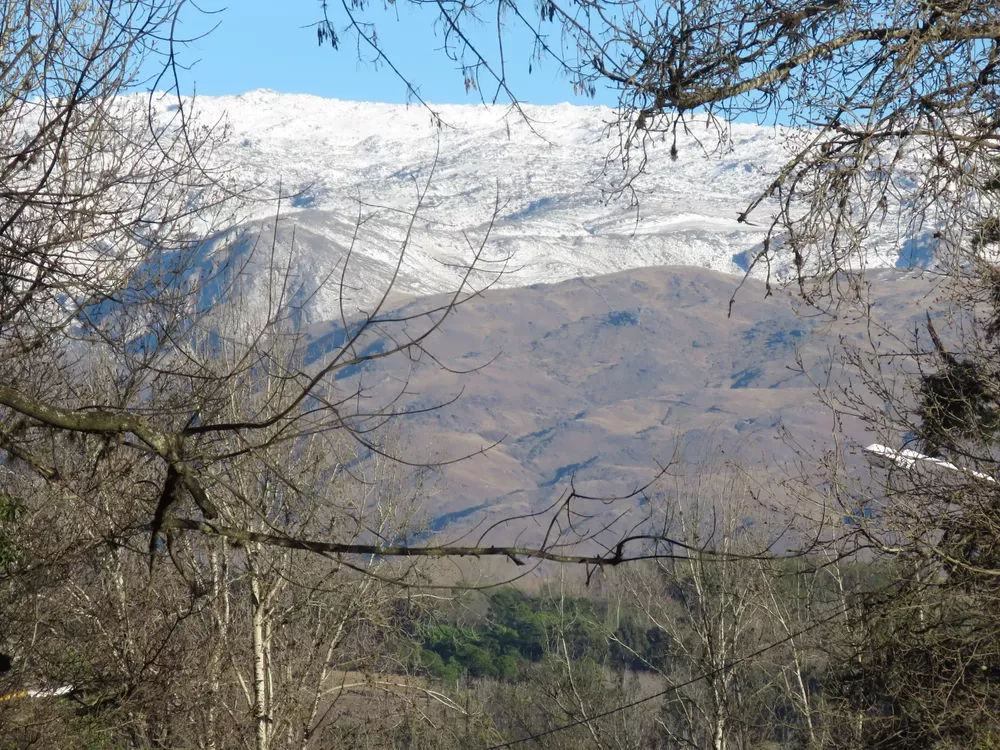 241723039_4222654924436185_8354313668478886342_n