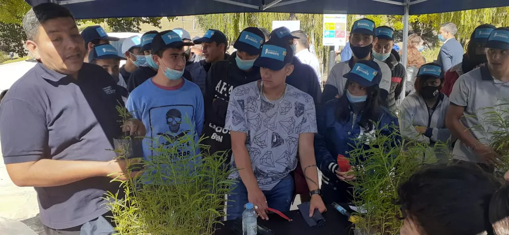 WhatsApp Image 2022-04-01 at 15.16.45 (2)