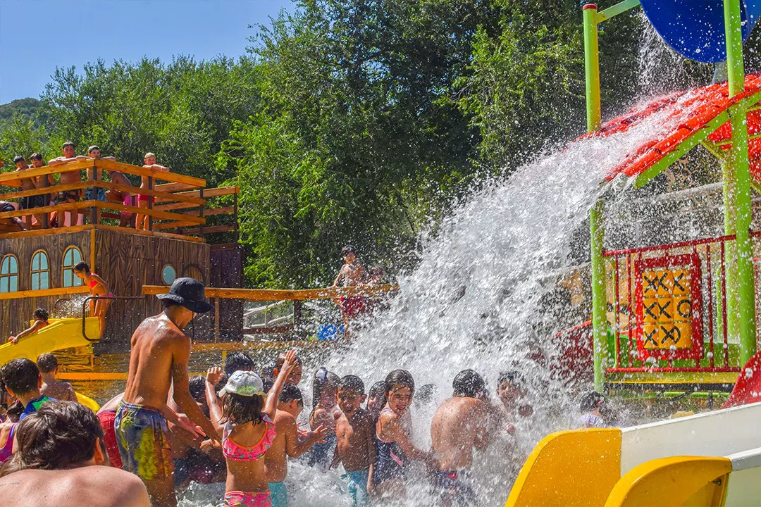 330430525_2353306988170602_8112138773755599805_n