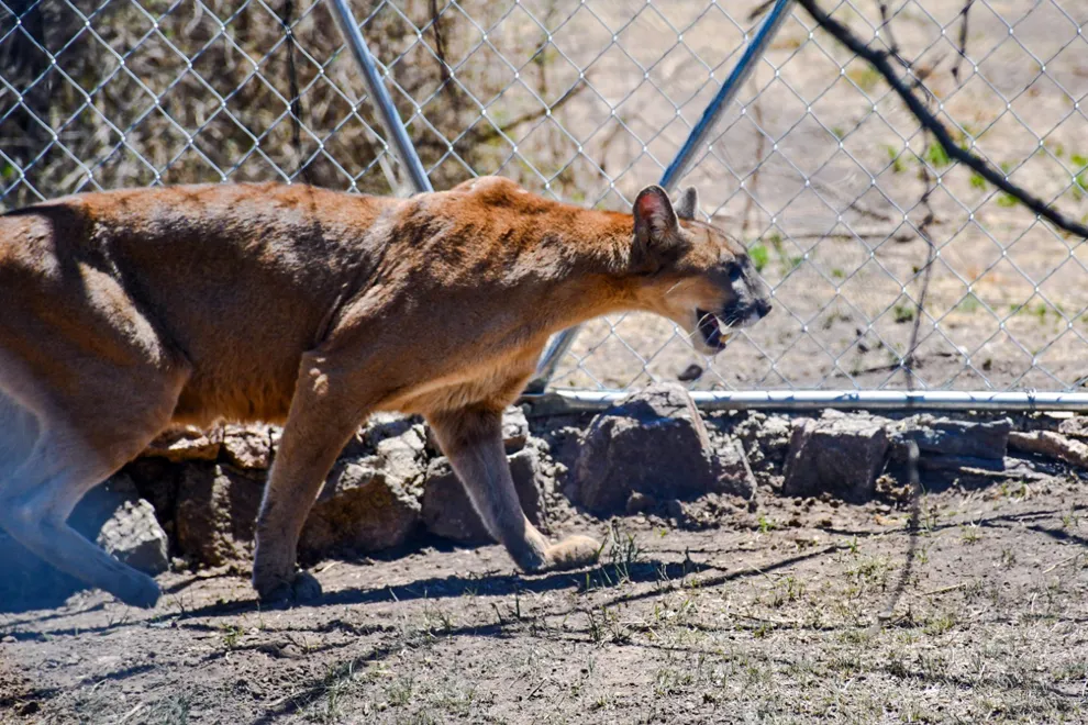 WhatsApp-Image-2023-11-22-at-3.07.54-PM