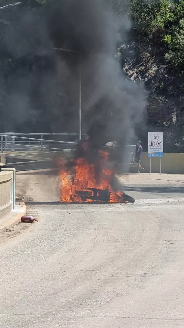 WhatsApp Image 2022-03-15 at 17.48.23 (1)