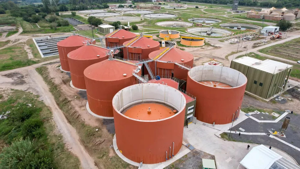 WhatsApp Image 2023-04-17 at 18.32.52