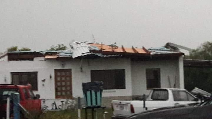 84211995_10222704164338490_396720343810572288_n