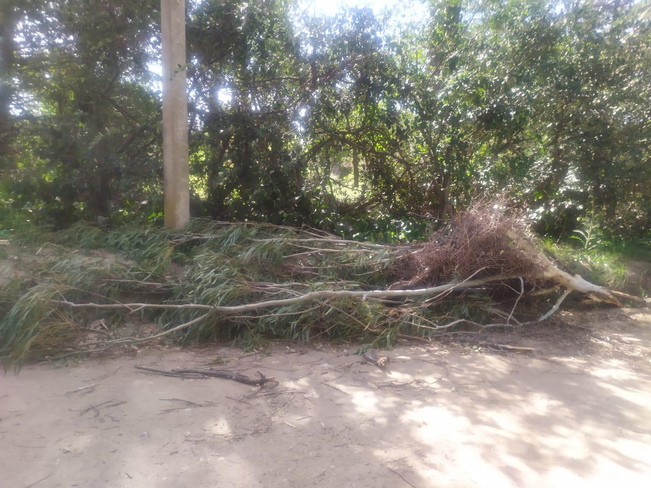 WhatsApp Image 2020-12-10 at 17.03.48