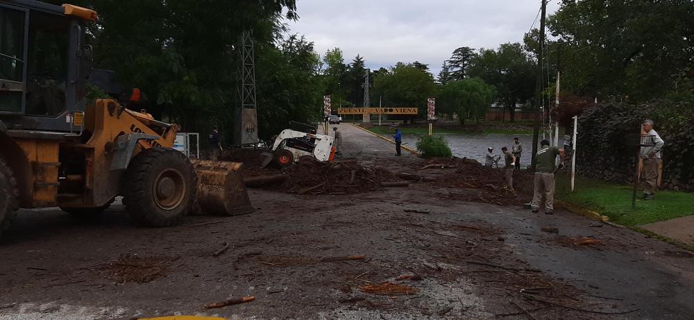 multimedia.grande.b8ca3f994c6e1569.32303230303332365f3038353634305f6772616e64652e6a7067