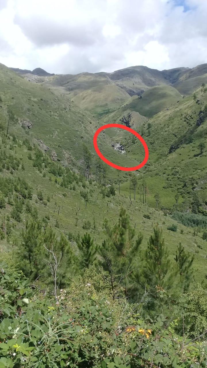 WhatsApp Image 2021-01-04 at 11.07.54