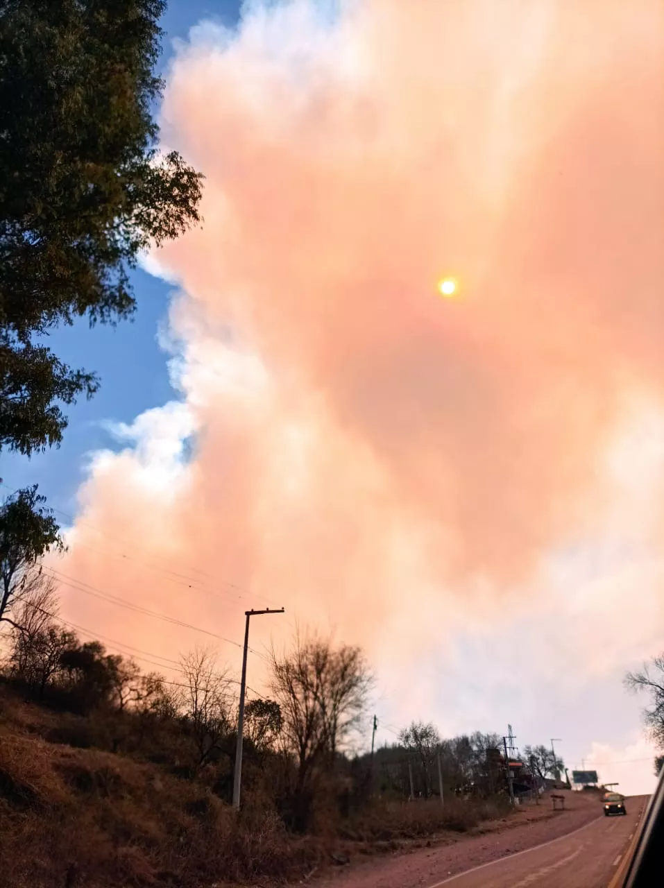 WhatsApp Image 2021-08-18 at 14.08.04 (1)