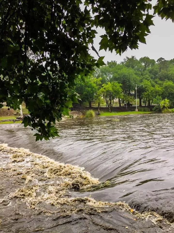 328299663_1362777231207504_9042493414293778143_n